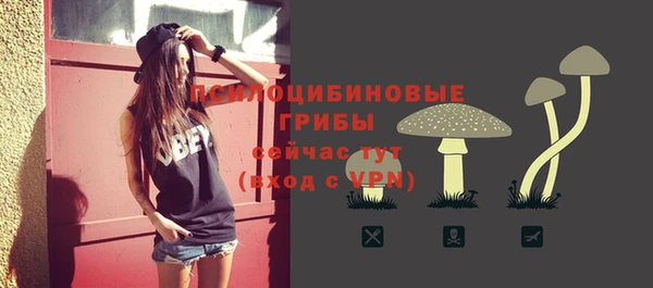 меф Зеленодольск